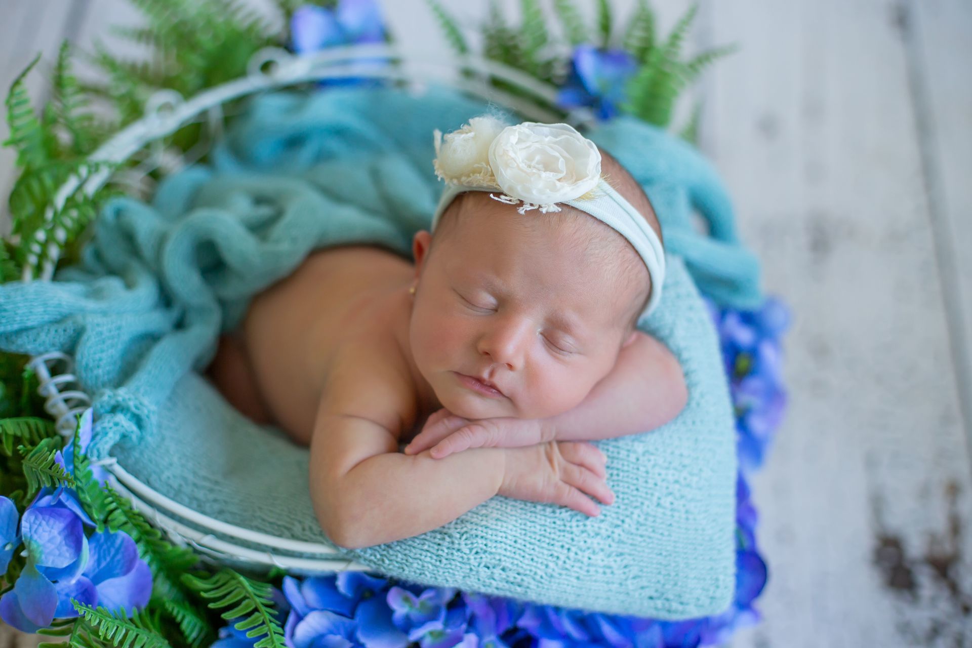 Newborn - Ana Clara (1)